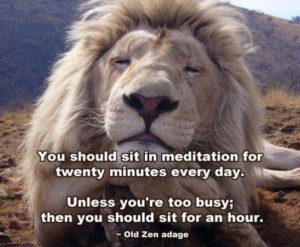lion-meditating